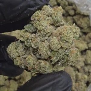 berry-pie-top-tier-flower-576x1024-1 Berry Pie | Top Tier | Flower | 7g packs