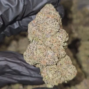 black-runtz-top-tier-flower-576x1024-1 Black Runtz | Top Tier | Flower | 7g packs