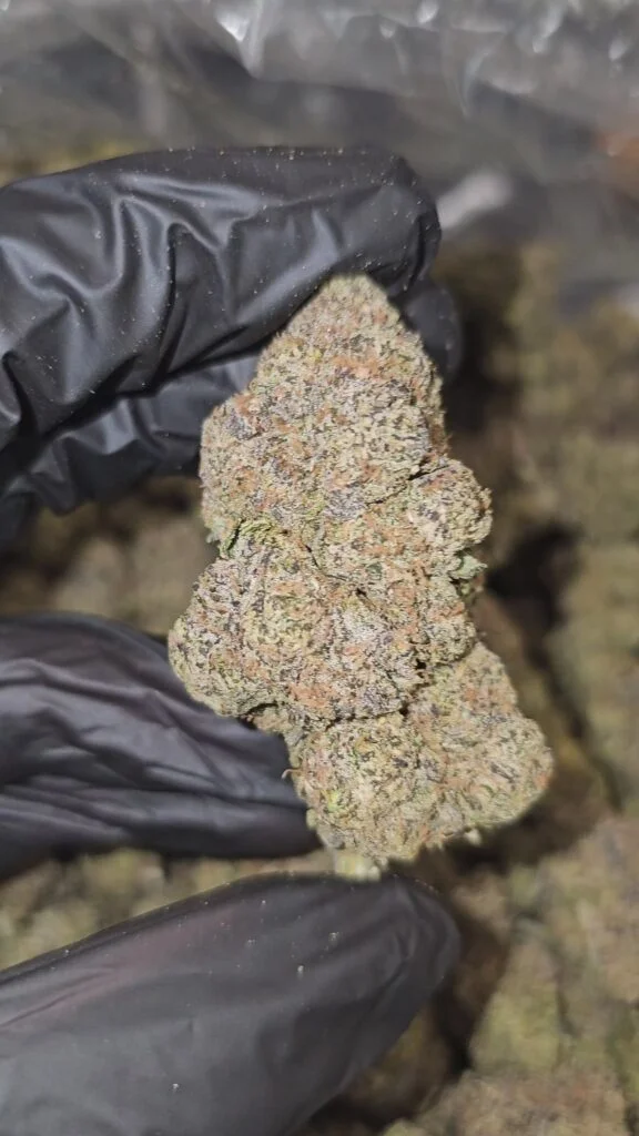 Black Runtz | Top Tier | Flower | 7g packs