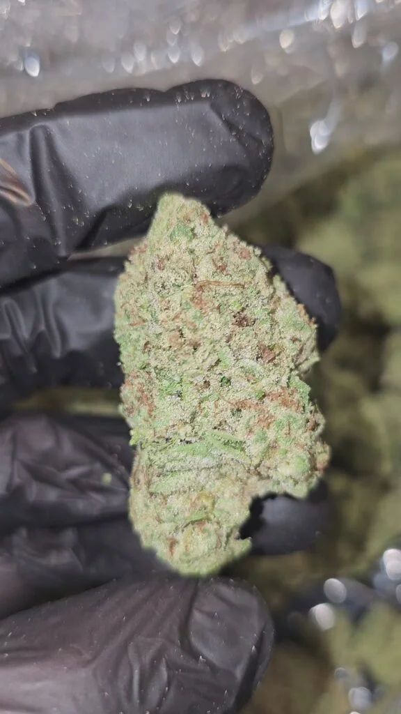 Black Truffle Pie | Top Tier | Flower | 7g packs