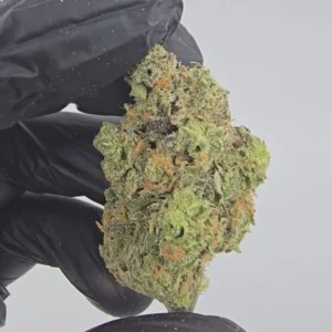 blue-dream-boutique-tier-flower-576x1024-1 Blue Dream | Boutique Tier | Flower | 7g packs
