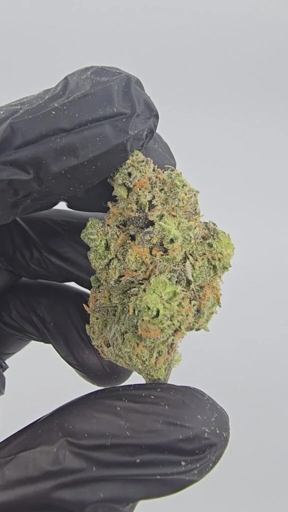Blue Dream | Boutique Tier | Flower | 7g packs