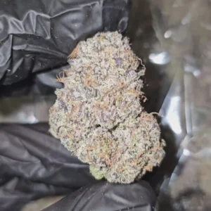 blueberry-crumble-first-cut-exclusive-flower-576x1024-1 Blueberry Crumble | First Cut Exclusive | Flower | 7g packs