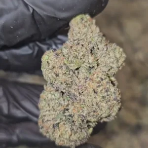 blueberry-milk-boutique-tier-flower-on-sale-576x1024-1 Blueberry Milk | Boutique Tier | Flower | ON SALE | 7g packs