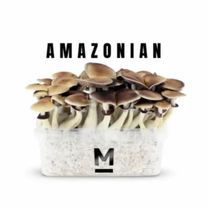buy-magic-mushroom-grow-kit-pes-amazon-by-mondo-600x600-1 Buy Magic Mushroom Grow Kit PES Amazon by Mondo® | 28grams