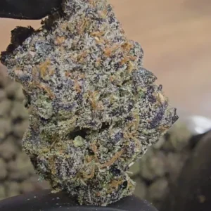 Candy Heart | First Cut Exclusive | Flower | ON SALE| 7g packs