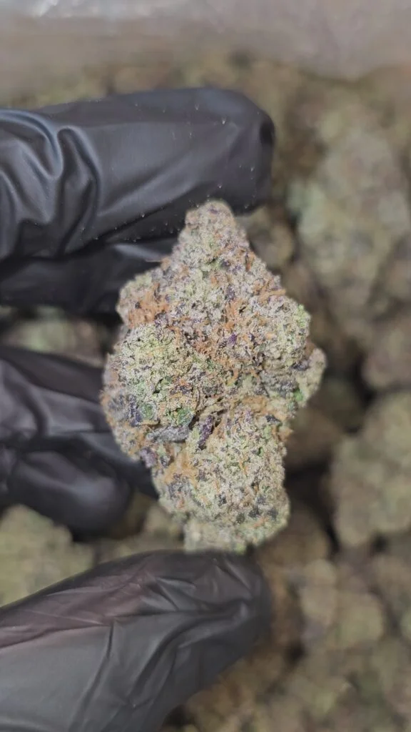 crystal-gelato-boutique-tier-flower-36-576x1024-1 Crystal Gelato | Boutique Tier | Flower | 36% | 7g packs