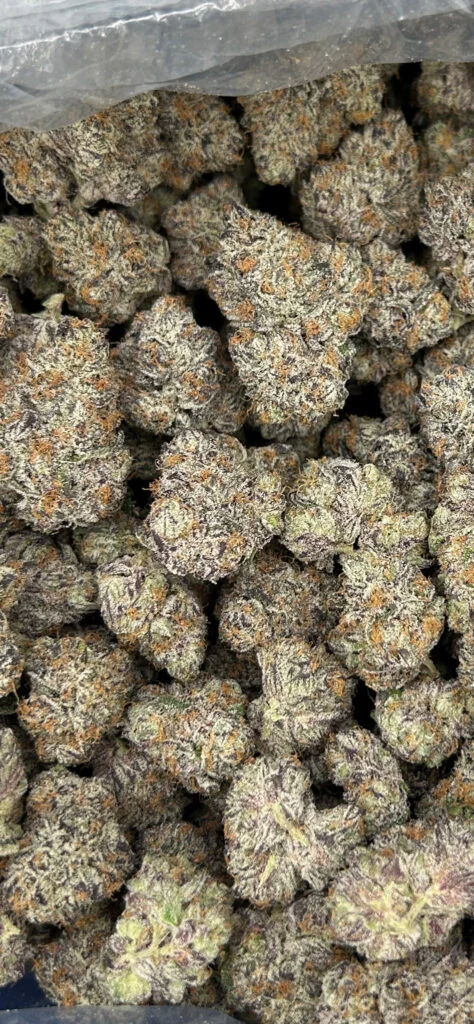 El Diablo | Boutique Tier | Flower | 7g packs