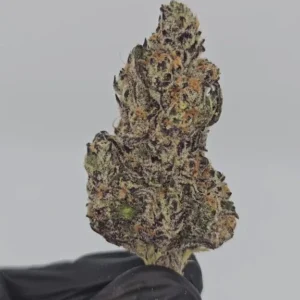 Flyin Hawaiian | First Cut Exclusive | Flower | 7g packs