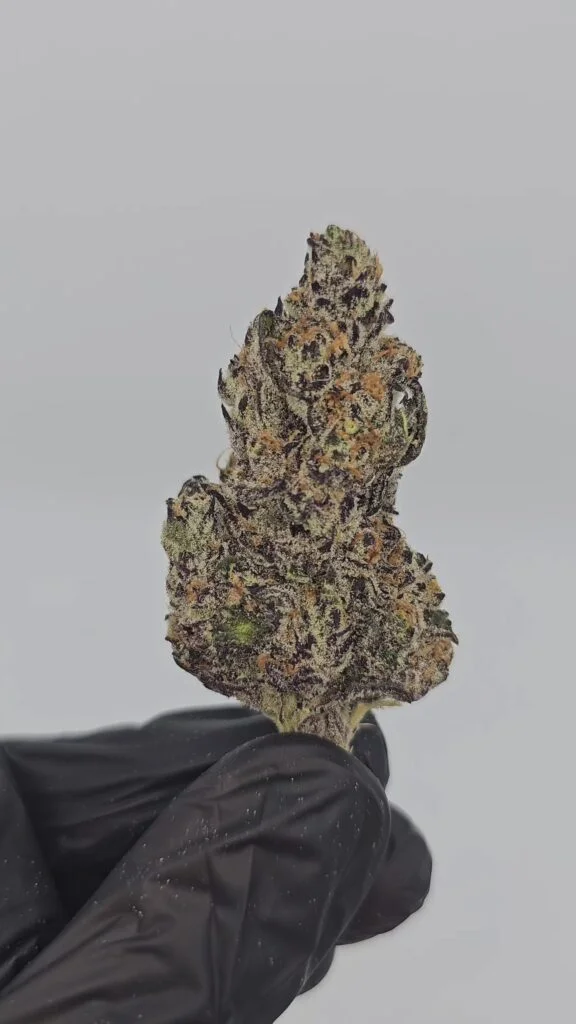 Flyin Hawaiian | First Cut Exclusive | Flower | 7g packs