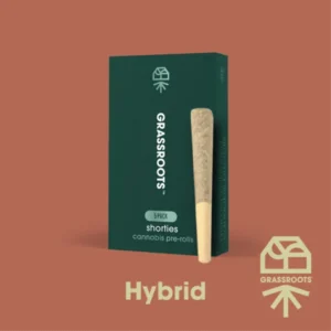garlic-cookies-04g-ea-5-pack-pre-roll-pack-600x600-1 Garlic Cookies 0.4g ea | 5-Pack Pre-Roll Pack