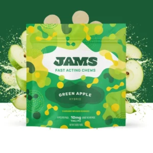 green-apple-fast-acting-10mg-ea-10-pack-fruit-chews-1-600x600-1 Green Apple Fast-Acting 10mg ea | 10-Pack Fruit Chews