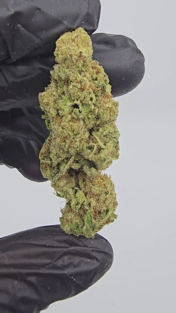 Lambo OG | Top Tier | Flower | 7g packs