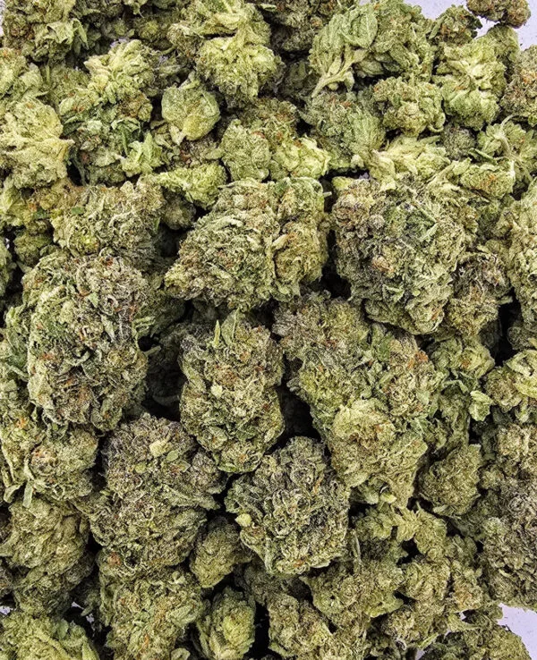lemon-barz-top-tier-flower-600x738-1 Lemon Barz | Top Tier | Flower | 7g packs