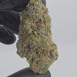Lemon Cherry Gelato | Boutique Tier | Flower | 7g packs