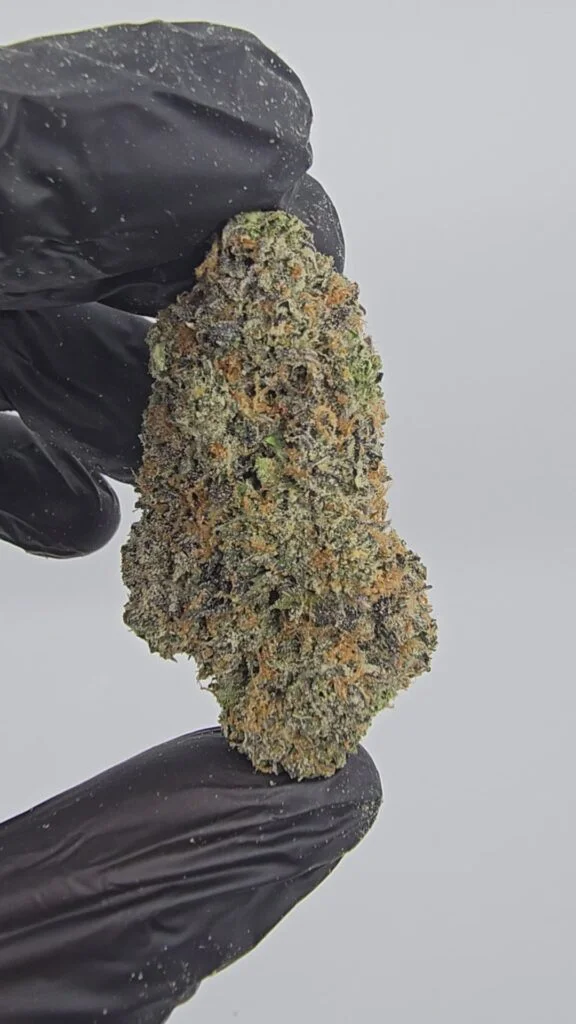 Lemon Cherry Gelato | Boutique Tier | Flower | 7g packs