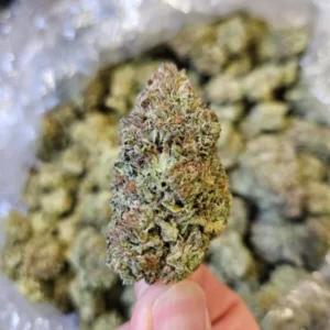 Limesicle | Top Tier | Flower | 7g packs