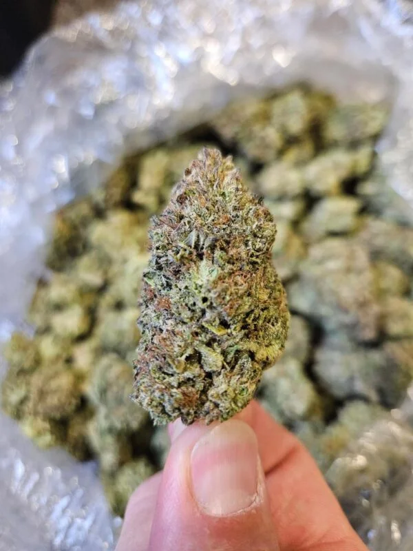 Limesicle | Top Tier | Flower | 7g packs