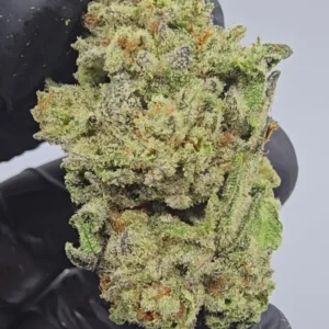 passion-fruit-top-tier-flower-576x1024-1 Passion Fruit | Top Tier | Flower | 7g packs