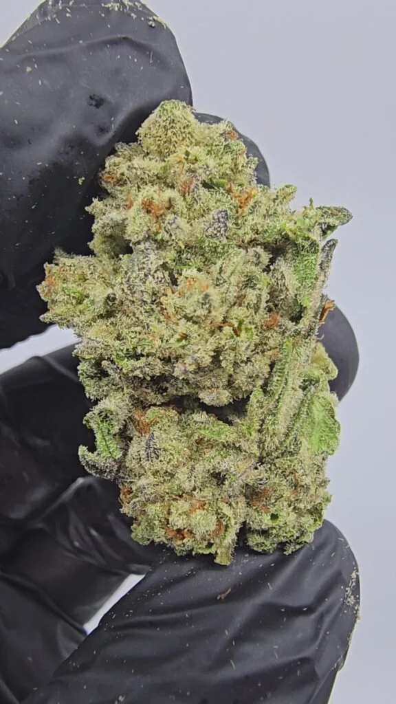 passion-fruit-top-tier-flower-576x1024-1 Passion Fruit | Top Tier | Flower | 7g packs