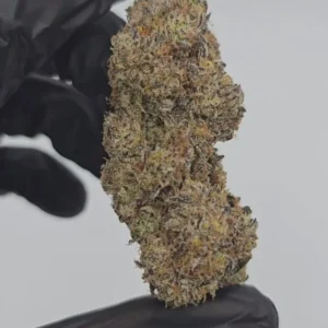 peanut-butter-breath-first-cut-exclusive-flower-576x1024-1 Peanut Butter Breath | First Cut Exclusive | Flower | 7g packs