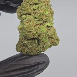 platinum-cookies-top-tier-flower-on-sale-576x1024-1 Platinum Cookies | Top Tier | Flower | ON SALE | 7g packs