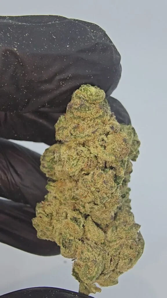 punch-breath-top-tier-flower-576x1024-1 Punch Breath | Top Tier | Flower | 7g packs