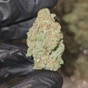 sex-panther-boutique-tier-flower-on-sale-576x1024-1 Sex Panther | Boutique Tier | Flower | ON SALE | 7g packs
