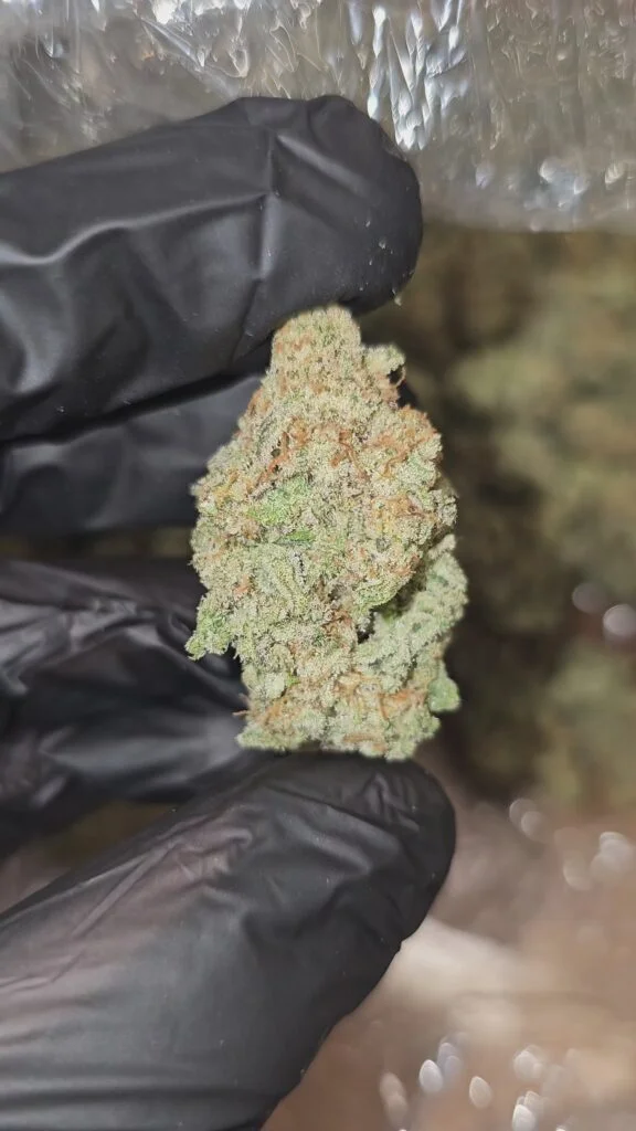 Sex Panther | Boutique Tier | Flower | ON SALE | 7g packs