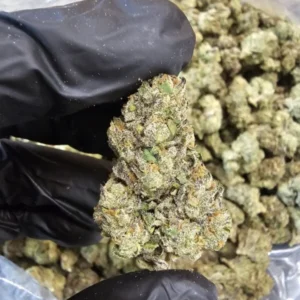 shadow-kush-top-tier-flower-scaled-600x800-1 Shadow Kush | Top Tier | Flower | 7g packs