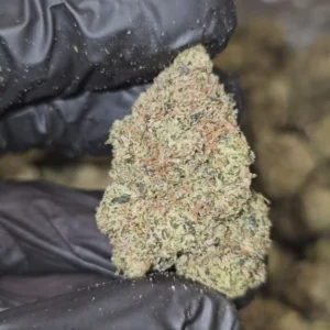 slurpee-top-tier-flower-576x1024-1 Slurpee | Top Tier | Flower | 7g packs