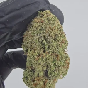 Illuminati | Top Tier | Flower | ON SALE | 7g packs