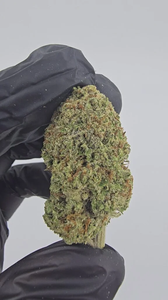 Illuminati | Top Tier | Flower | ON SALE | 7g packs
